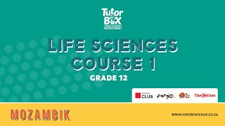 Grade 12 Life Science Course 1  DNA and RNA [upl. by Meridith]