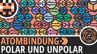 Atombindung polar und unpolar│Chemie Lernvideo│Learning Level Up [upl. by Silletram]