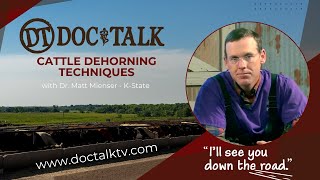 DocTalk Ep 86  Cattle Dehorning Techniques [upl. by Houghton]