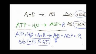 Lets Think about reaction coupling [upl. by Stormie]