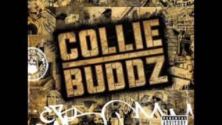 Collie Buddz Come Around Instrumental [upl. by Ameerak]