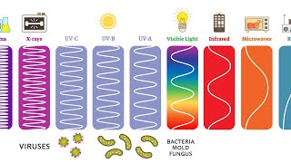 Ultraviolet UV Can Kill Bacteria amp Viruses – Learn The Basics [upl. by Den33]