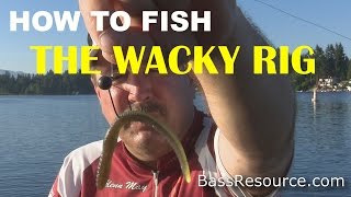 How to Fish a Wacky Rig for Bass  Bass Fishing [upl. by Komara]