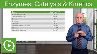 Enzymes Catalysis Kinetics amp Classification – Biochemistry  Lecturio [upl. by Resaec]