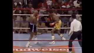 Hagler vs Hearns round 3 [upl. by Neelhtak]