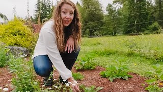 15 Medicinal Herbs and Their Uses for This Fall  Herb Garden Tour [upl. by Rebecka]