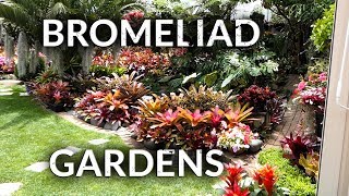 BROMELIAD GARDENS [upl. by Hpotsirhc840]