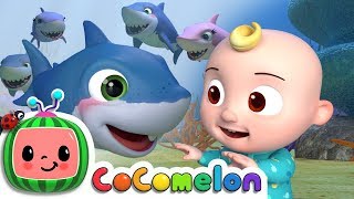 CoComelon Fun Learning Songs for Kids [upl. by Bea]