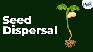 Seed Dispersal  Reproduction in Plants  Dont Memorise [upl. by Terrell]