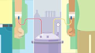 The Power of Plasma Donation Animation [upl. by Mello]