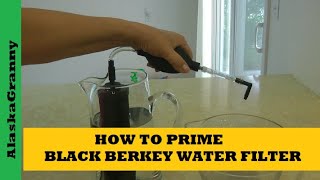 How to Prime a Berkey Water Filter Element [upl. by Ramas]