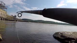 Conowingo Dam Fishing [upl. by Naitsabas]