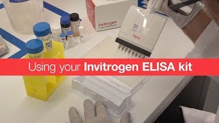 Using your Invitrogen ELISA kit [upl. by Eniawtna]