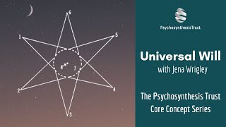 Psychosynthesis Egg Overview [upl. by Laekcim]