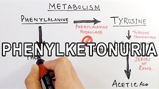 Phenylketonuria  Biochemistry amp Genetics [upl. by Thomey]