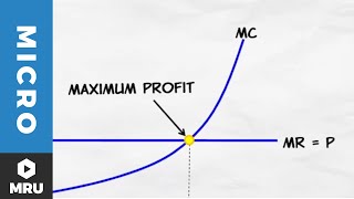 Maximizing Profit Under Competition [upl. by Joby]