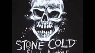 Stone Cold Steve Austin Classic Theme Song [upl. by Snilloc343]