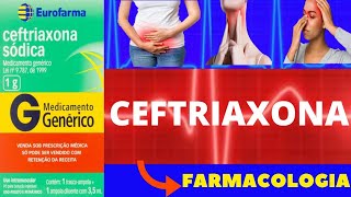 CEFTRIAXONA  PARA QUE SERVE COMO TOMAR COMO FUNCIONA EFEITOS COLATERAIS  ANTIBIÃ“TICO [upl. by Floria]