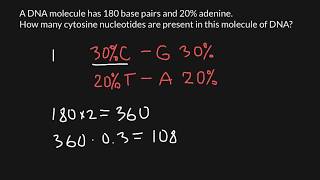 How to find nucleotide ratio of the DNA [upl. by Ihpen]