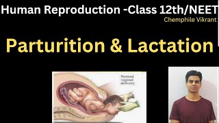 Parturition and Lactation chemphilevikrant [upl. by Perkin]