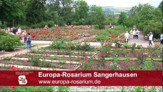 Europa Rosarium Sangerhausen [upl. by Ydda]