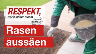 Rasen richtig säen  toom Werkstatt [upl. by Nahtanoy]