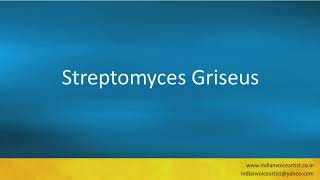 Pronunciation of the words quotStreptomyces Griseusquot [upl. by Andrus]