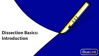 Dissection Basics  Introduction [upl. by Nessa]