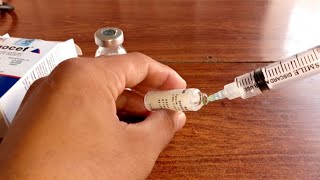 How to use ceftriaxone injection ۔Ceftriaxone sodium injection uses Ceftriaxone [upl. by Jeuz]