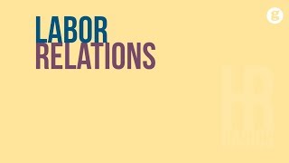 HR Basics Labor Relations [upl. by Saxet]