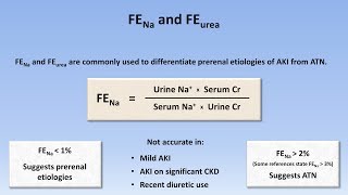 Acute Kidney Injury Part 23  Diagnostic Evaluation [upl. by Legra]