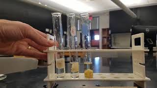 Lab 14 Enzyme activity experiment [upl. by Gnut698]