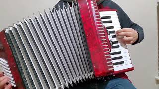 Pizza Time Funiculi Funicila  Accordion cover [upl. by Rafe]