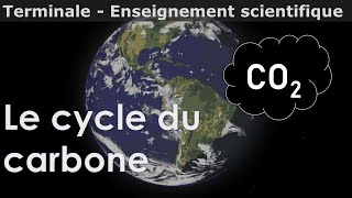 Le cycle du carbone  Enseignement scientifique  Terminale [upl. by Claudy]