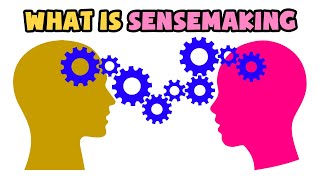 What is Sensemaking  Explained in 2 min [upl. by Melena]