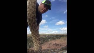 How to kill a Rattlesnake Properly [upl. by Atirma]