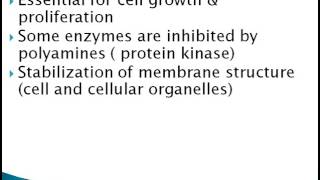 POLYAMINES [upl. by Abijah]