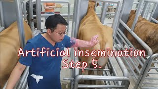 How To Artificially Inseminate At Home [upl. by Evars]