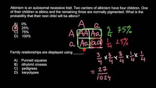 Genetic probability of albinism [upl. by Ungley560]