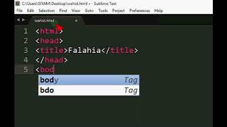 How to create basic webpage with Sublime Text3 [upl. by Falo]