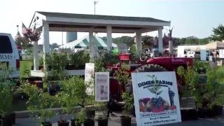 Blueberry Festival in Hammonton New Jersey [upl. by Alvin846]