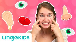 Learn Face Parts in English for Kids  Lingokids [upl. by Rep]