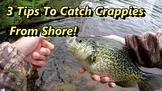 3 Crappie Fishing Tips Guaranteed To Catch Crappies From Shore [upl. by Nuahsyd339]