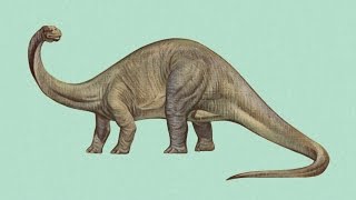 Brontosaurus  Enciclopedia sobre Dinosaurios [upl. by Anawik82]