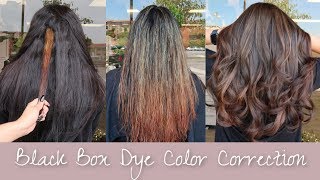 Black Box Dye Hair Color Correction  FULL CORRECTION FROM BLACK TO BROWN HAIR [upl. by Maitilde365]