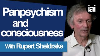 How Panpsychism Can Explain Consciousness  Rupert Sheldrake [upl. by Ilario]