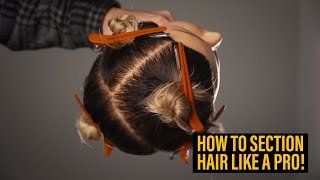 SECTIONING  Learn How To Section Hair Like a Pro [upl. by Masry]