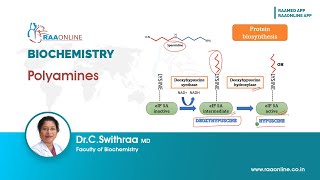 Polyamines [upl. by Rozalin]