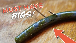 Bass Fishing 101 5 Bass Fishing Rigs You NEED to KNOW [upl. by Alial]