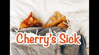 Fun Bedtime Story For Kids  Heidi Cherry amp Vaya  Cherrys Sick [upl. by Robert]